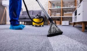 Factors Affecting the Costs of Carpet Cleaning